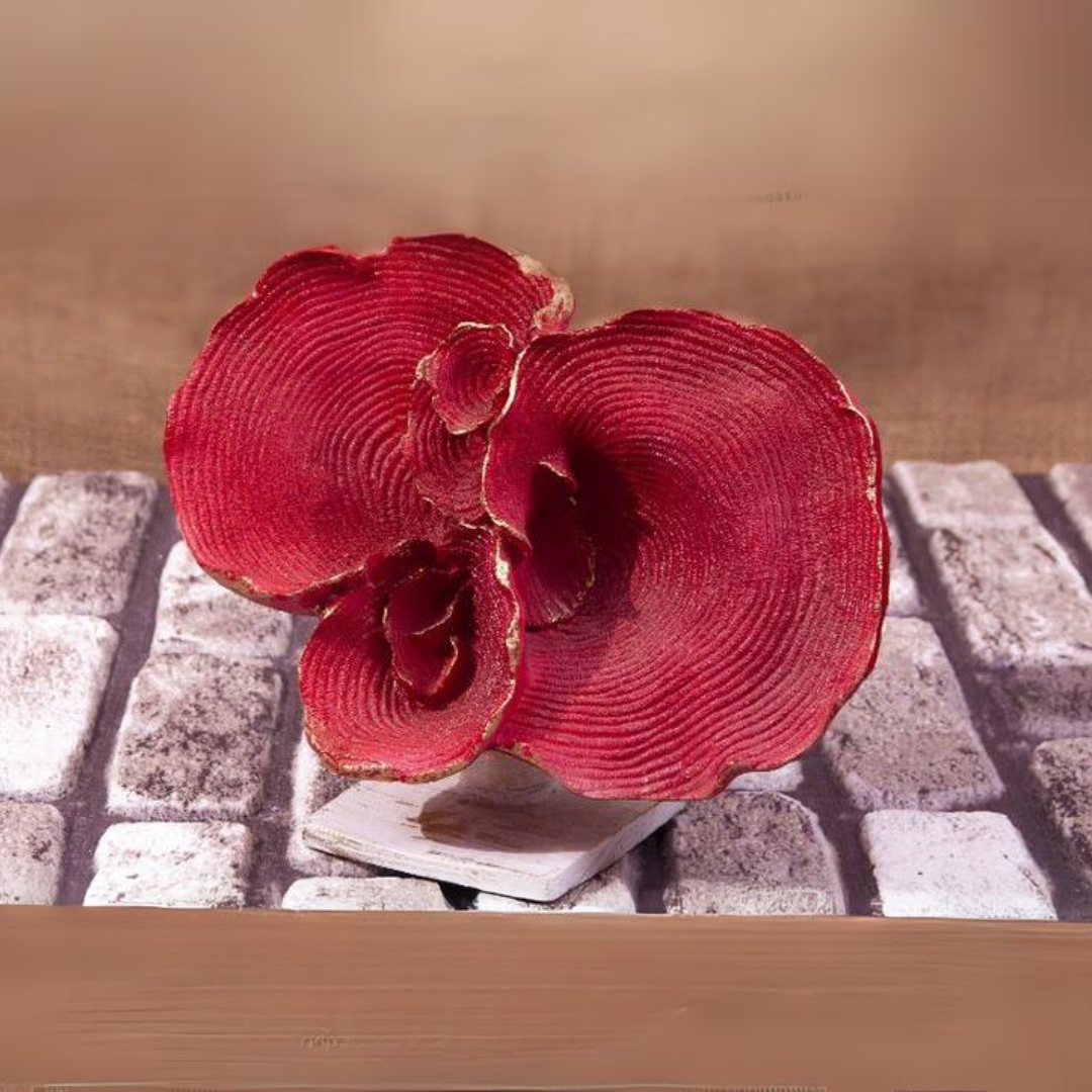 Mercan Biblo 25x25cm.