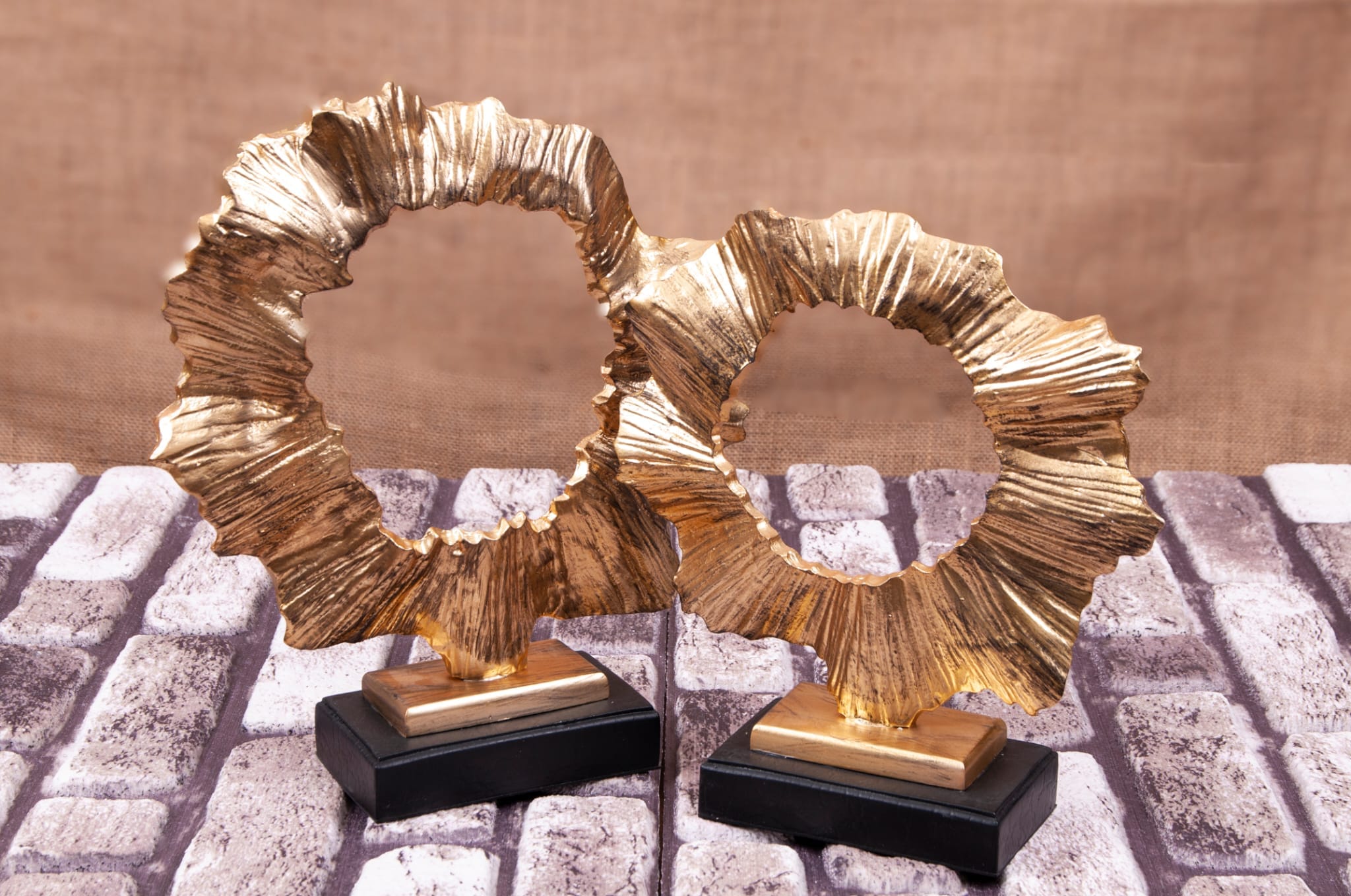 İkili Dalgalı İris